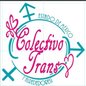 COLECTIVO TRANS ESTADO DE MÉXICO Y ALREDEDORES
